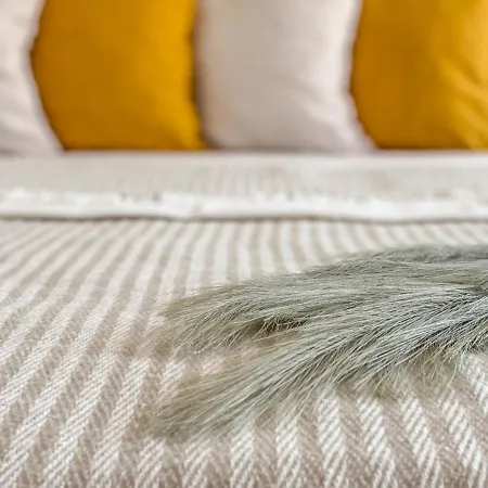 Modern - Meters Away From The 포마리