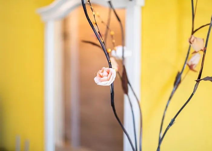 Modern - Meters Away From The *